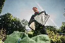 HRH 536 HX Mower 6.webp