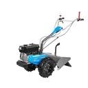 Bertolini bakfrees 350